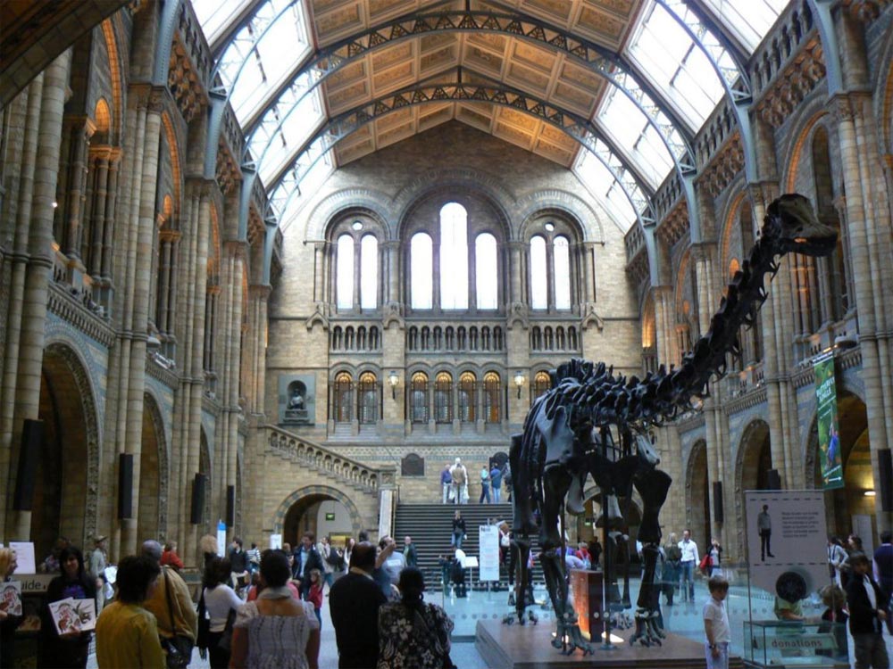 Museu de História Natural de Londres. Fonte: http://jovenscientistasdabahia.files.wordpress.com/