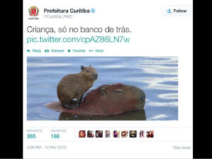 A capivara é parte oficial dos memes da prefeitura de Curitiba.